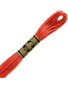Linha de bordar Mouliné DMC 2