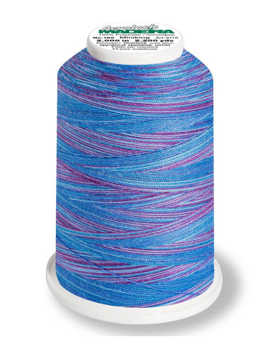 Cone para overlock Madeira Aerolock Multicolor 1200 m