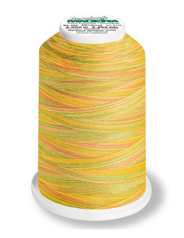 Cone para overlock Madeira Aerolock Multicolor 1200 m
