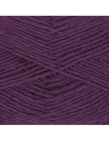 Lã para meias Hot Socks uni 50 Gründl