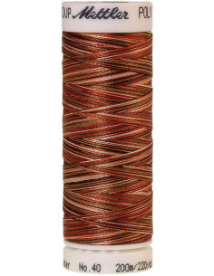 Linha de bordar Mettler Polysheen multicolor 2