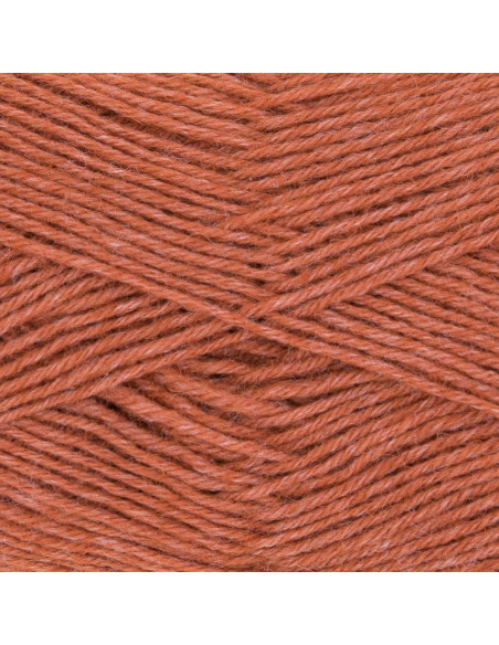 Lã para meias Hot Socks uni 50 Gründl