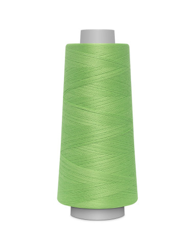 Cone para overlock Gütermann Toldi-Lock 2500 m