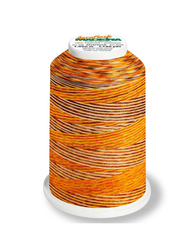 Cône de fil mousse Madeira Aeroflock Multicolor 1000 m