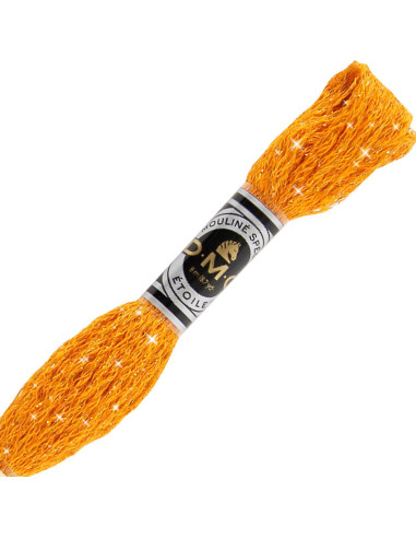 Fil à broder Mouliné Étoile DMC