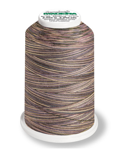 Cone para overlock Madeira Aerolock Multicolor 1200 m