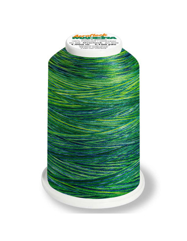 Cône de fil mousse Madeira Aeroflock Multicolor 1000 m