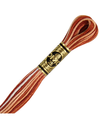 Fil à broder Mouliné DMC