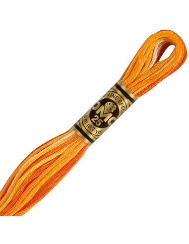 Fil à broder Mouliné DMC