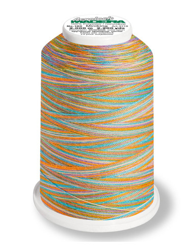 Cone para overlock Madeira Aerolock Multicolor 1200 m
