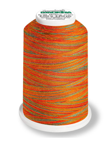 Cone para overlock Madeira Aerolock Multicolor 1200 m