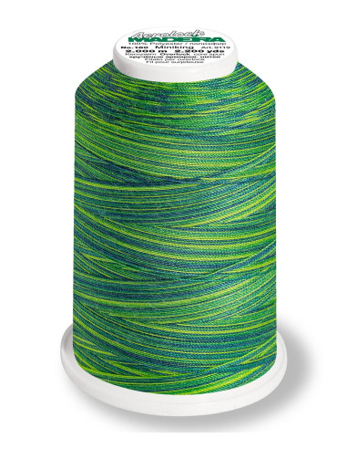 Cone para overlock Madeira Aerolock Multicolor 1200 m