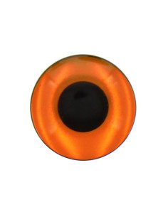 Olhos para pelúcias - Fauve