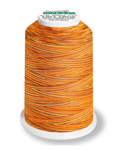 Cone para overlock Madeira Aerolock Multicolor 1200 m