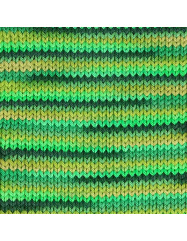 Algodão Scheepjes Catona Chroma