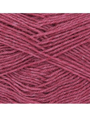 Lã para meias Hot Socks uni 50 Gründl