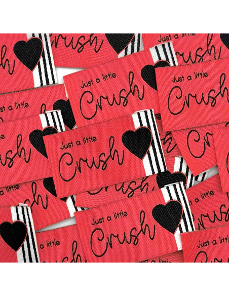 Conjunto de 5 etiquetas tecidas para costurar Just a little crush