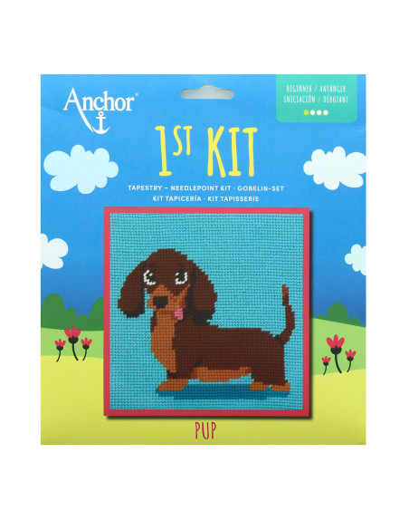 Meu 1º kit de tapeçaria - Dachshund