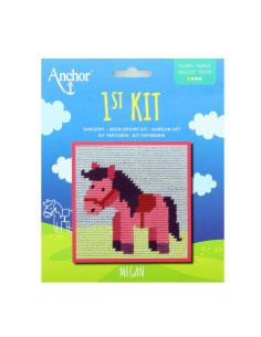 Meu 1º kit de tapeçaria - Ponei pequeno