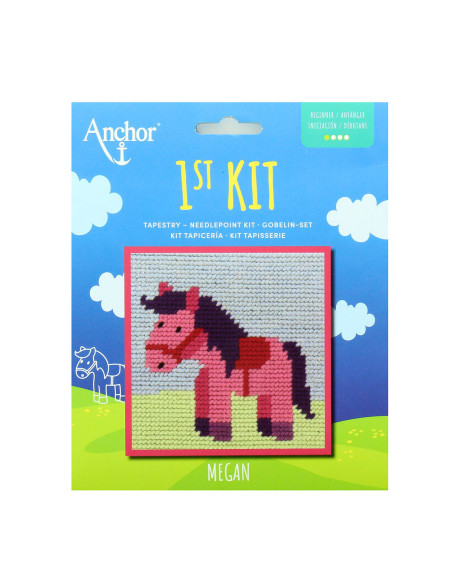 Meu 1º kit de tapeçaria - Ponei pequeno