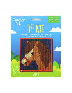 Meu 1º kit de tapeçaria - Cabeça de cavalo