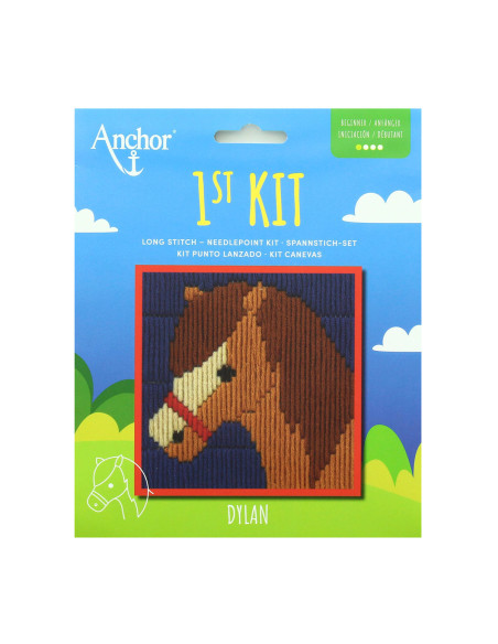 Meu 1º kit de tapeçaria - Cabeça de cavalo