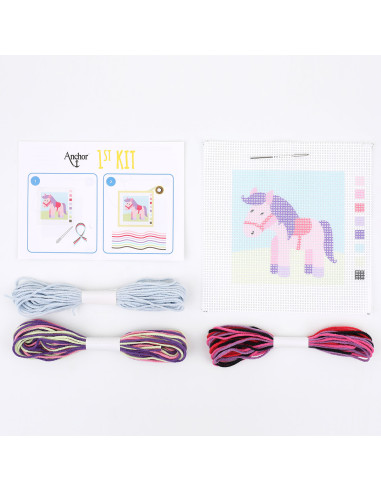 Meu 1º kit de tapeçaria - Ponei pequeno