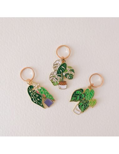 Conjunto de 3 marcadores de malha - Monstera