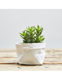Rolo de papel vegano branco - 50 x 100 cm 2