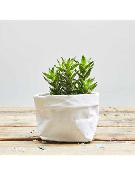 Rolo de papel vegano branco - 50 x 100 cm
