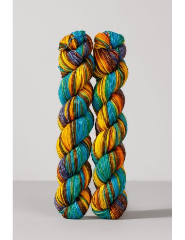 Conjunto de 2 novelos de lã para meias Echoes Fingering Gusto Wool