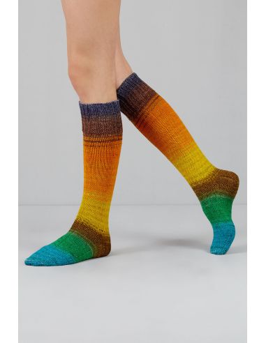 Conjunto de 2 novelos de lã para meias Echoes Fingering Gusto Wool