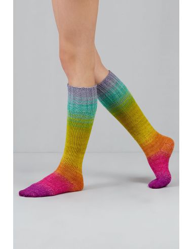 Conjunto de 2 novelos de lã para meias Echoes Fingering Gusto Wool