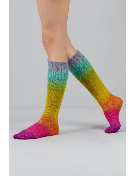 Conjunto de 2 novelos de lã para meias Echoes Fingering Gusto Wool
