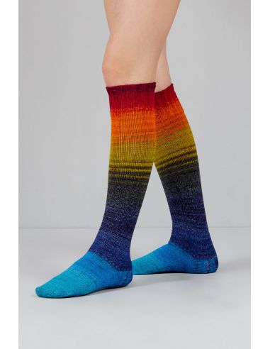 Conjunto de 2 novelos de lã para meias Echoes Fingering Gusto Wool