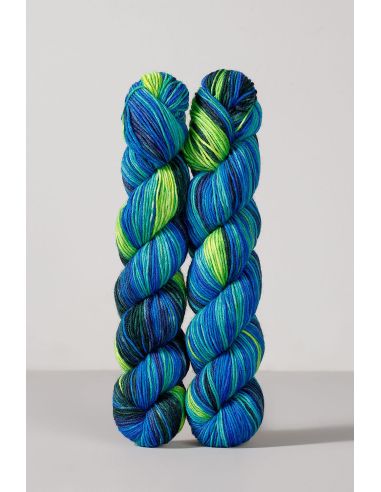 Conjunto de 2 novelos de lã para meias Echoes Fingering Gusto Wool
