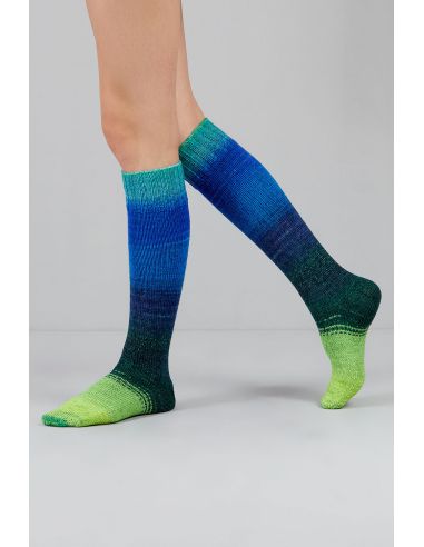 Conjunto de 2 novelos de lã para meias Echoes Fingering Gusto Wool