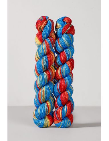 Conjunto de 2 novelos de lã para meias Echoes Fingering Gusto Wool