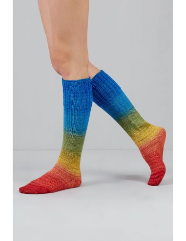 Conjunto de 2 novelos de lã para meias Echoes Fingering Gusto Wool