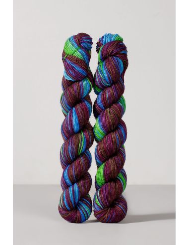 Conjunto de 2 novelos de lã para meias Echoes Fingering Gusto Wool