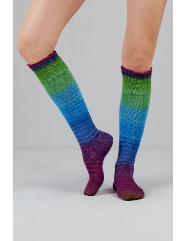 Conjunto de 2 novelos de lã para meias Echoes Fingering Gusto Wool