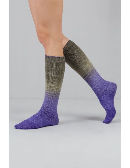 Conjunto de 2 novelos de lã para meias Echoes Fingering Gusto Wool