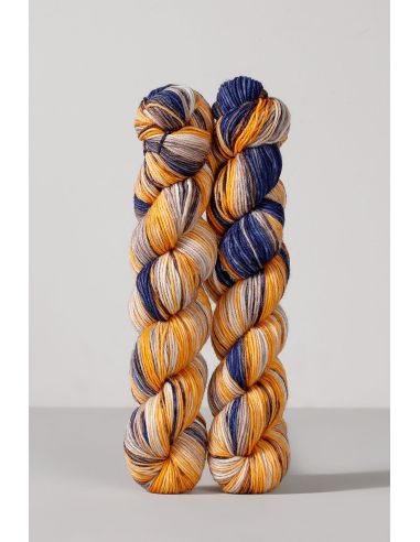 Conjunto de 2 novelos de lã para meias Echoes Fingering Gusto Wool