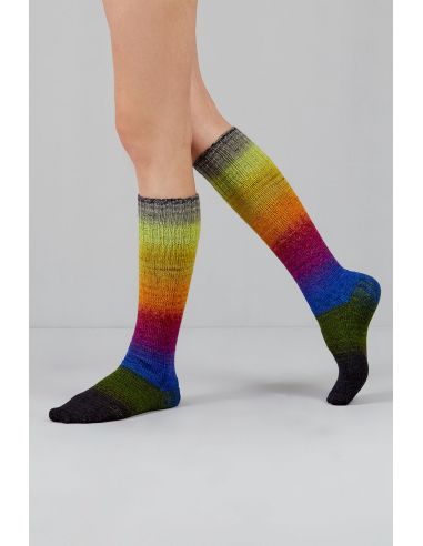 Conjunto de 2 novelos de lã para meias Echoes Fingering Gusto Wool