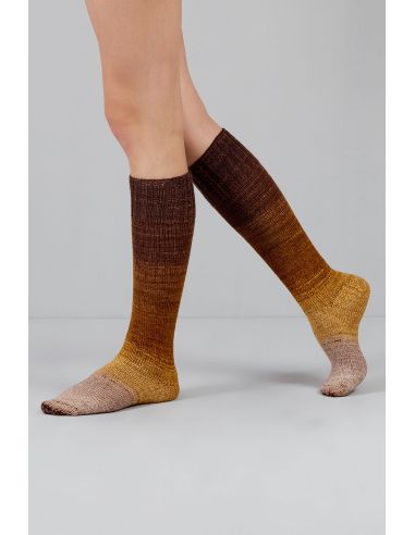 Conjunto de 2 novelos de lã para meias Echoes Fingering Gusto Wool