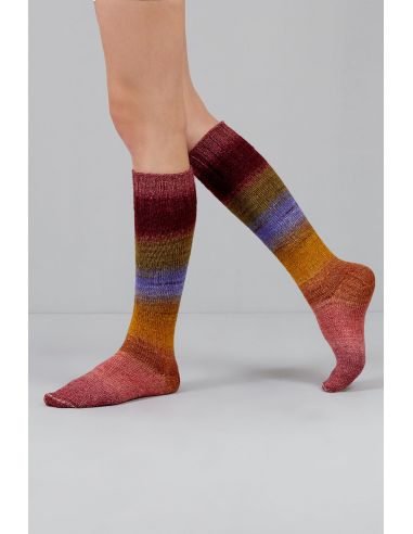 Conjunto de 2 novelos de lã para meias Echoes Fingering Gusto Wool