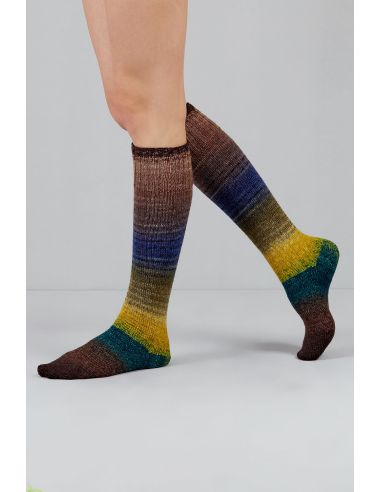 Conjunto de 2 novelos de lã para meias Echoes Fingering Gusto Wool