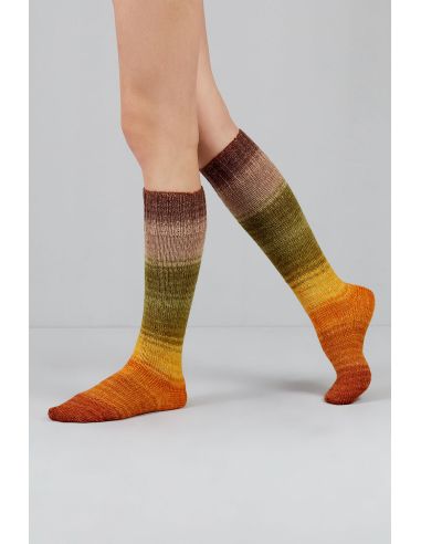Conjunto de 2 novelos de lã para meias Echoes Fingering Gusto Wool