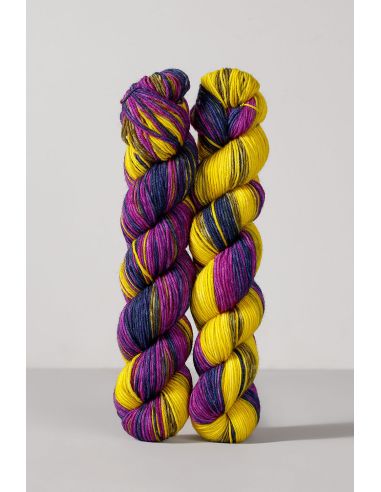 Conjunto de 2 novelos de lã para meias Echoes Fingering Gusto Wool