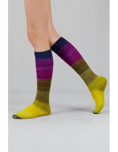 Conjunto de 2 novelos de lã para meias Echoes Fingering Gusto Wool